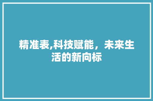 精准表,科技赋能，未来生活的新向标