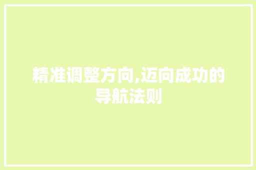 精准调整方向,迈向成功的导航法则