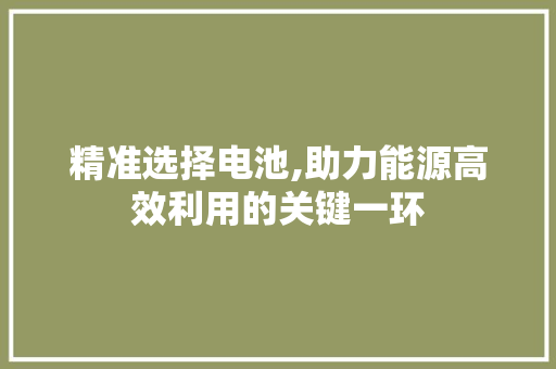 精准选择电池,助力能源高效利用的关键一环