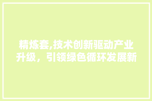 精炼套,技术创新驱动产业升级，引领绿色循环发展新篇章