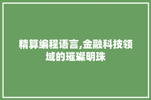 精算编程语言,金融科技领域的璀璨明珠
