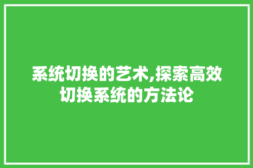 系统切换的艺术,探索高效切换系统的方法论