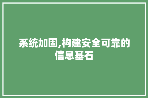 系统加固,构建安全可靠的信息基石