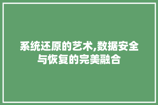系统还原的艺术,数据安全与恢复的完美融合 Web前端