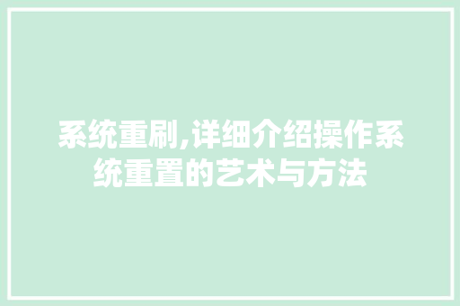 系统重刷,详细介绍操作系统重置的艺术与方法