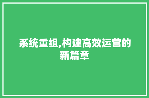 系统重组,构建高效运营的新篇章 友链在线