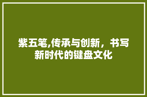 紫五笔,传承与创新，书写新时代的键盘文化