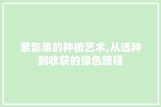 紫影果的种植艺术,从选种到收获的绿色旅程