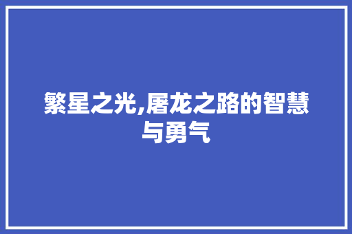 繁星之光,屠龙之路的智慧与勇气