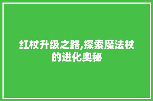 红杖升级之路,探索魔法杖的进化奥秘
