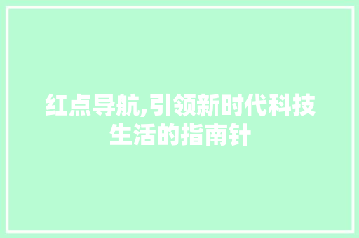 红点导航,引领新时代科技生活的指南针