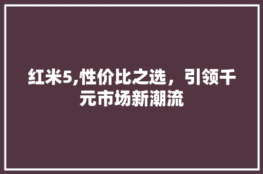 红米5,性价比之选，引领千元市场新潮流