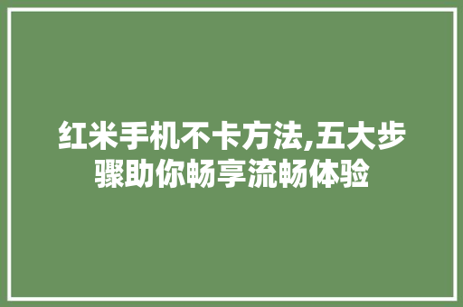 红米手机不卡方法,五大步骤助你畅享流畅体验