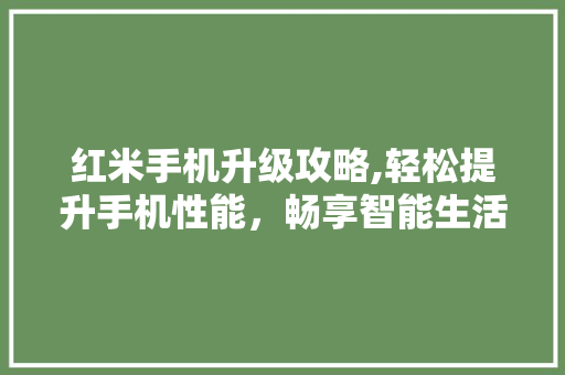 红米手机升级攻略,轻松提升手机性能，畅享智能生活