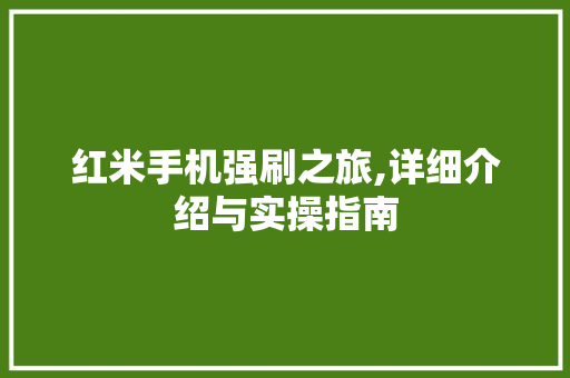 红米手机强刷之旅,详细介绍与实操指南