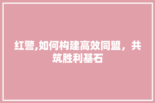 红警,如何构建高效同盟，共筑胜利基石