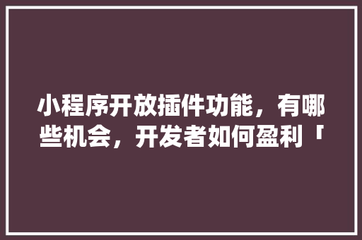 小程序开放插件功能，有哪些机会，开发者如何盈利「wordpress前端用户中心」