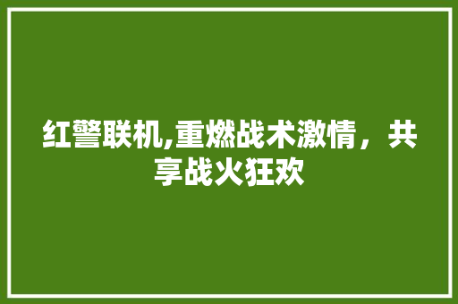 红警联机,重燃战术激情，共享战火狂欢