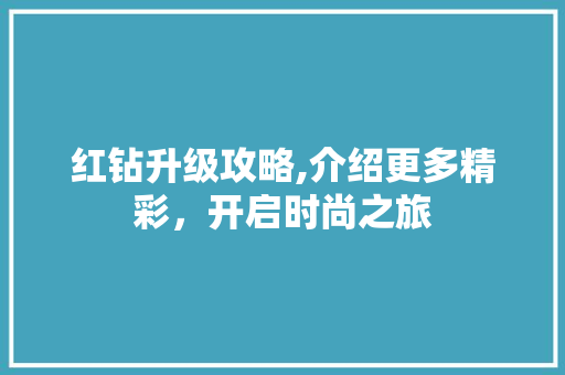 红钻升级攻略,介绍更多精彩，开启时尚之旅