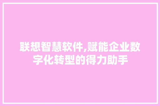 联想智慧软件,赋能企业数字化转型的得力助手