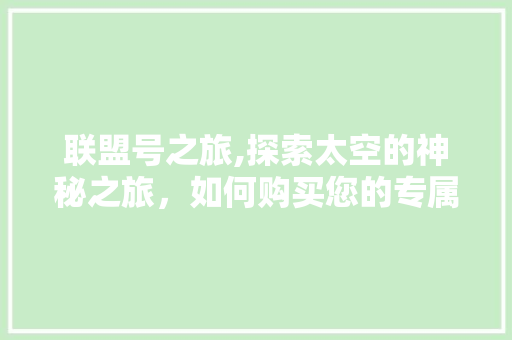 联盟号之旅,探索太空的神秘之旅，如何购买您的专属座位