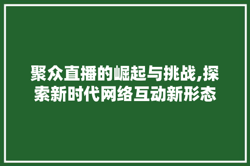 聚众直播的崛起与挑战,探索新时代网络互动新形态