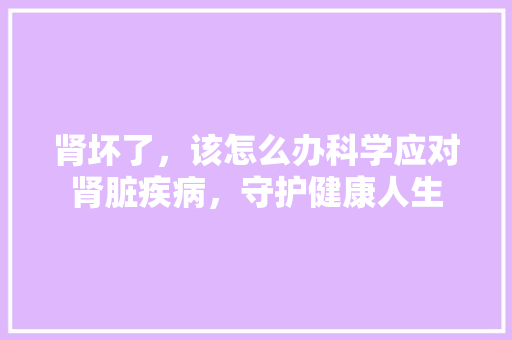 肾坏了，该怎么办科学应对肾脏疾病，守护健康人生
