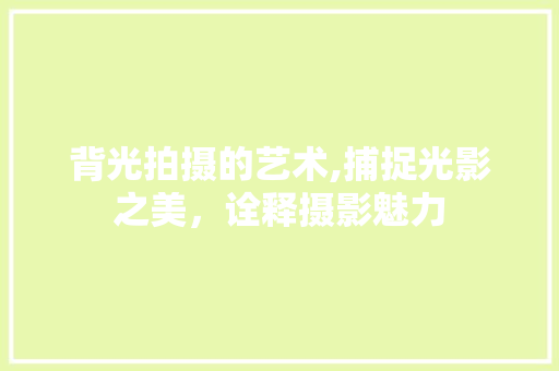 背光拍摄的艺术,捕捉光影之美，诠释摄影魅力 SEO教程