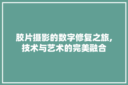 胶片摄影的数字修复之旅,技术与艺术的完美融合