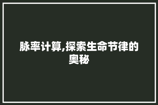 脉率计算,探索生命节律的奥秘