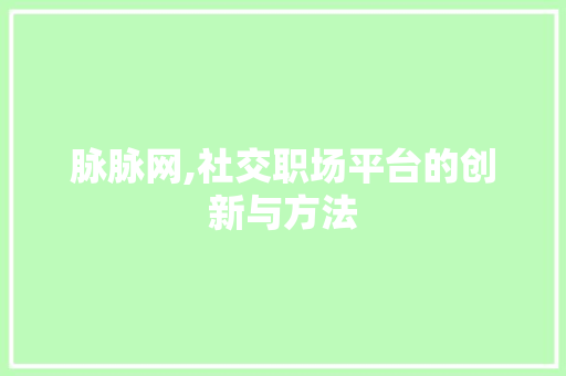 脉脉网,社交职场平台的创新与方法