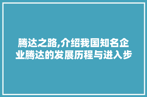 腾达之路,介绍我国知名企业腾达的发展历程与进入步骤