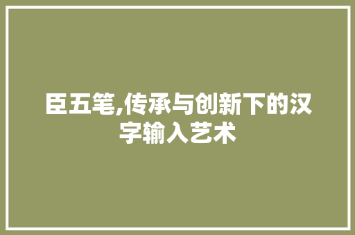 臣五笔,传承与创新下的汉字输入艺术