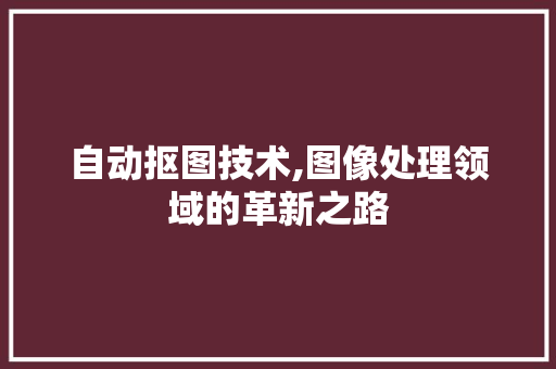 自动抠图技术,图像处理领域的革新之路
