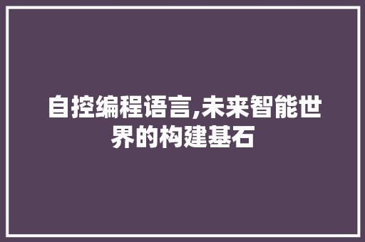 自控编程语言,未来智能世界的构建基石