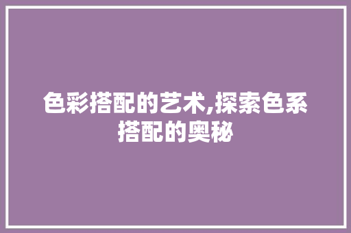 色彩搭配的艺术,探索色系搭配的奥秘