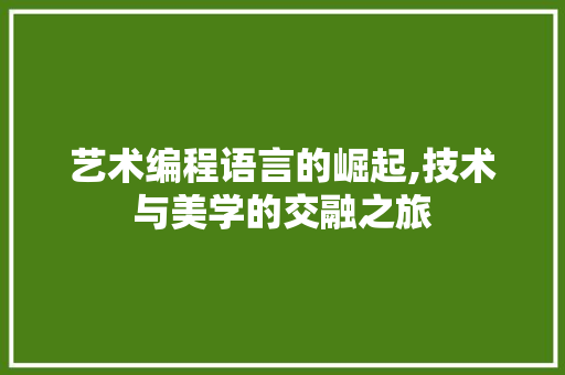 艺术编程语言的崛起,技术与美学的交融之旅