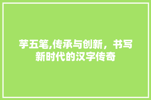 芋五笔,传承与创新，书写新时代的汉字传奇