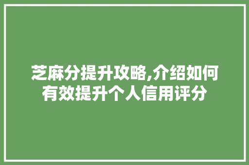 芝麻分提升攻略,介绍如何有效提升个人信用评分