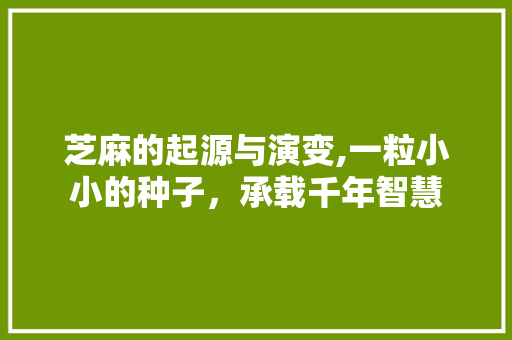 芝麻的起源与演变,一粒小小的种子，承载千年智慧