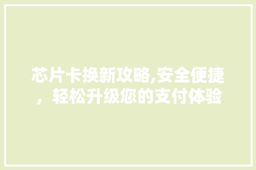 芯片卡换新攻略,安全便捷，轻松升级您的支付体验 服务器/数据库