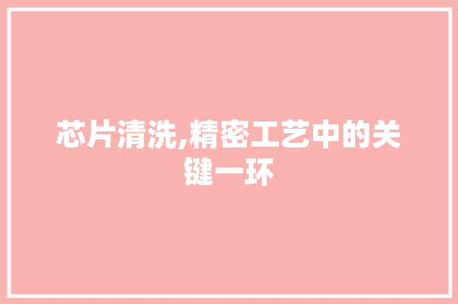 芯片清洗,精密工艺中的关键一环
