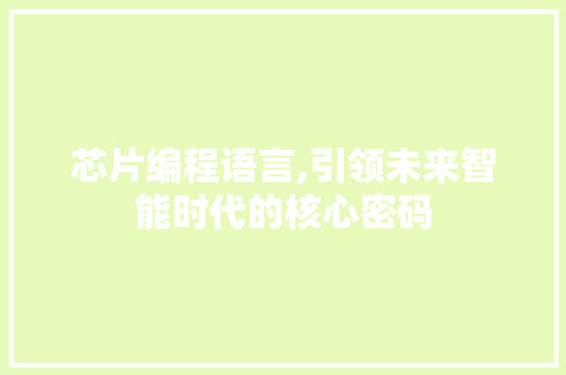 芯片编程语言,引领未来智能时代的核心密码