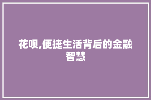 花呗,便捷生活背后的金融智慧