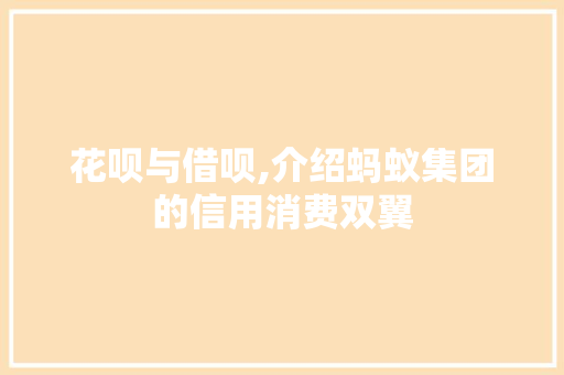 花呗与借呗,介绍蚂蚁集团的信用消费双翼