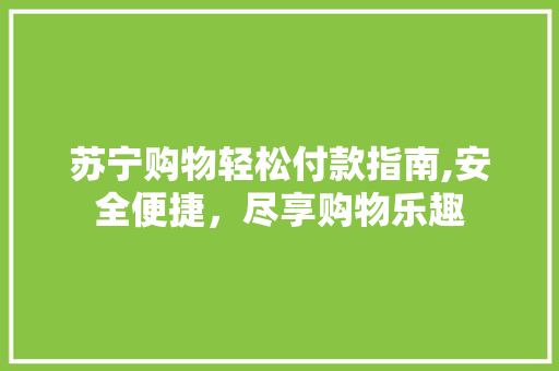 苏宁购物轻松付款指南,安全便捷，尽享购物乐趣