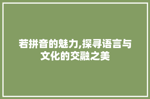若拼音的魅力,探寻语言与文化的交融之美