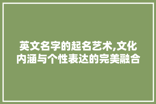 英文名字的起名艺术,文化内涵与个性表达的完美融合
