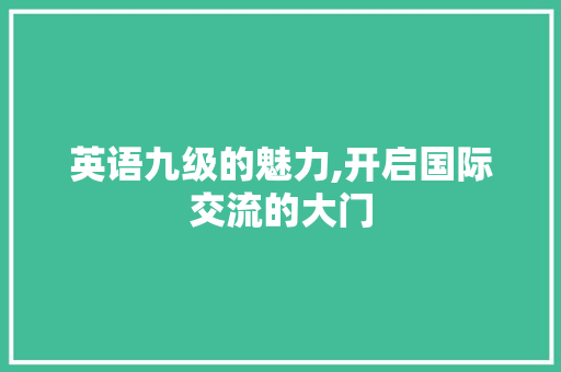 英语九级的魅力,开启国际交流的大门