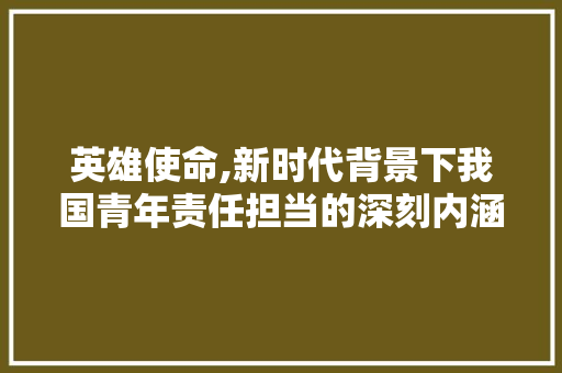 英雄使命,新时代背景下我国青年责任担当的深刻内涵